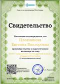 Педагогический меридиан по теме: "Летнее оздоровление: нестандартный подход к стандартной ситуации" (2 академических часа)